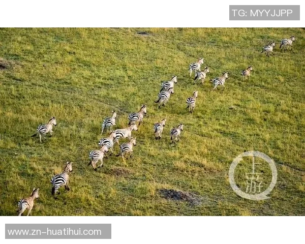 肯尼亚与坦桑尼亚的足球对决:历史战绩与未来展望